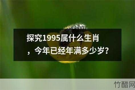 为什么大属相好？探究其优势及原因