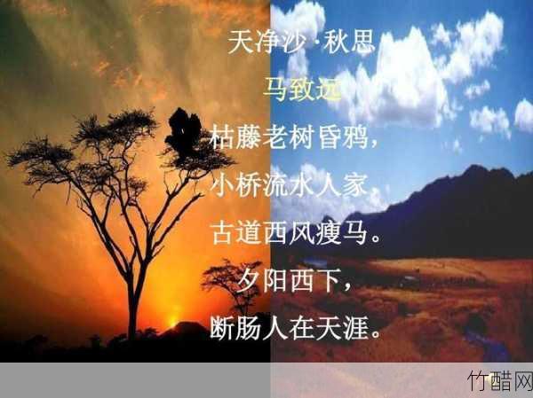 西风这首歌表达了什么情感？