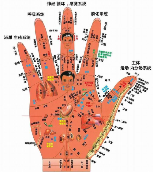 【健康小贴士】五指穴位按摩，助力血液循环