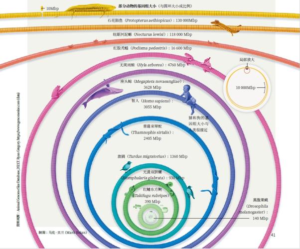 这种生物的基因组如同一座“垃圾山”，不断吸纳新废物